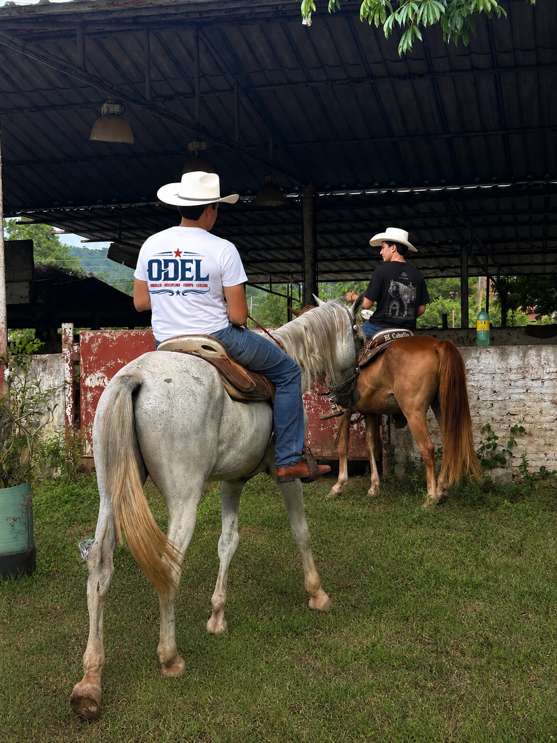 Dos jinetes con playeras ODEL y sombreros en un rancho